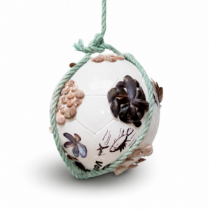 “Balón Sustentable Marino”